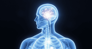 pourquoi le protocole de Schwartz suscite autant d’intérêt