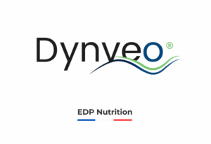 bannière image dynveo