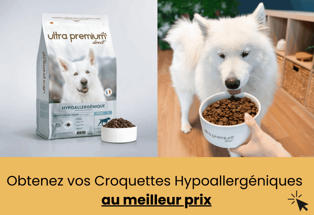 Meilleures croquettes hypoallergéniques ultra premium direct
