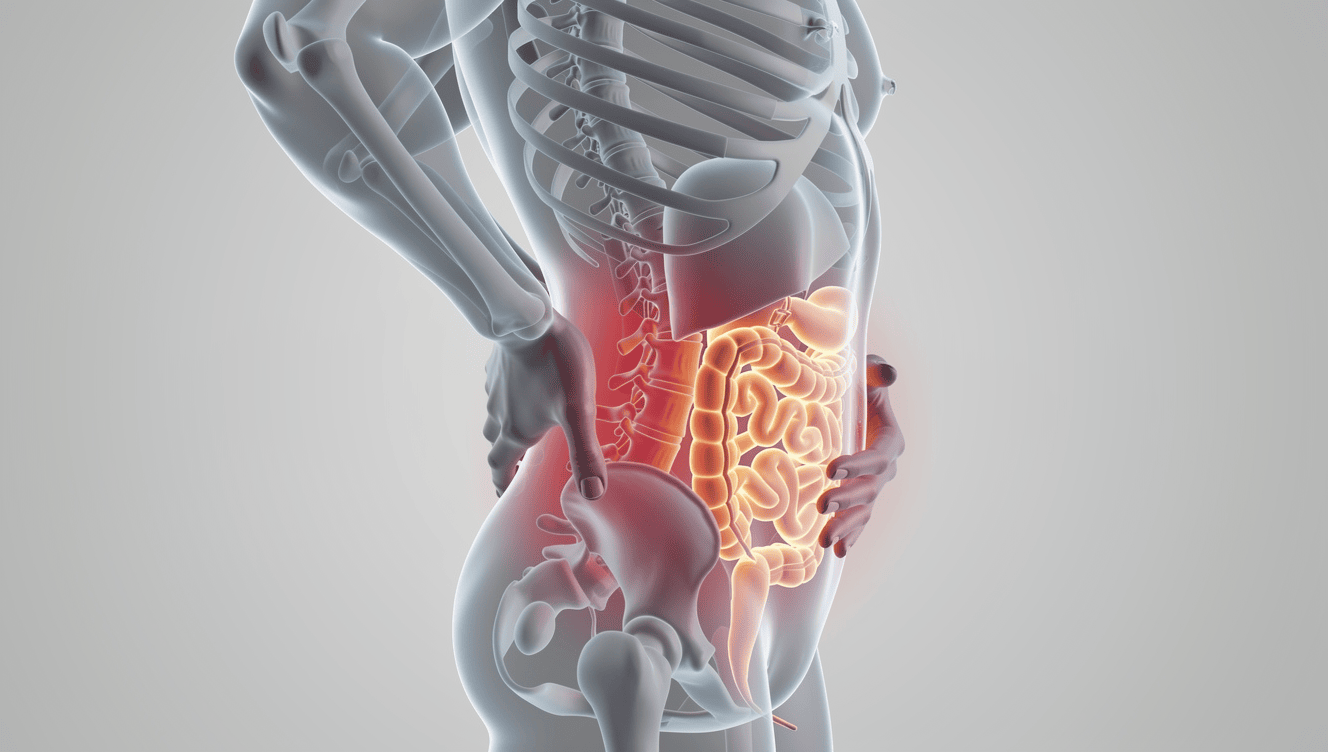 Pourquoi l’intestin peut-il provoquer des douleurs dorsales