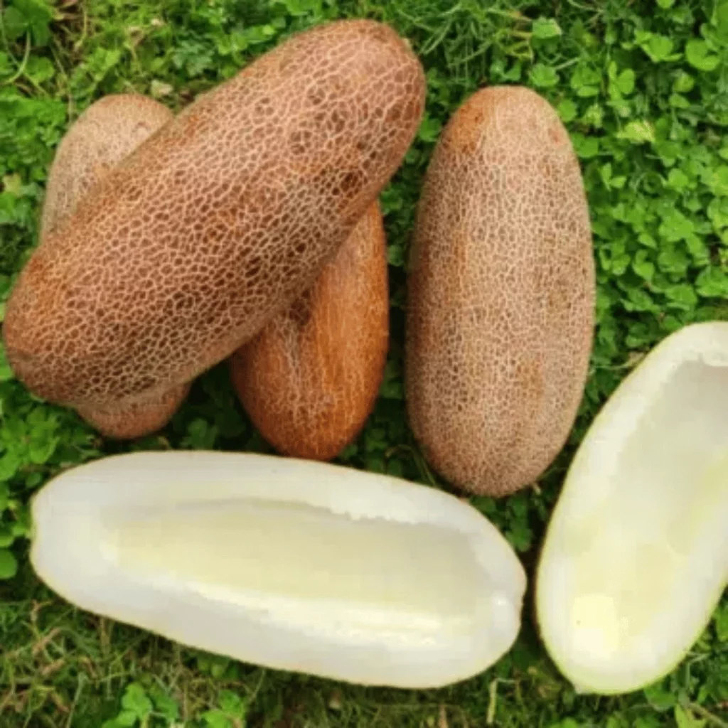 code parrainage terre vivante