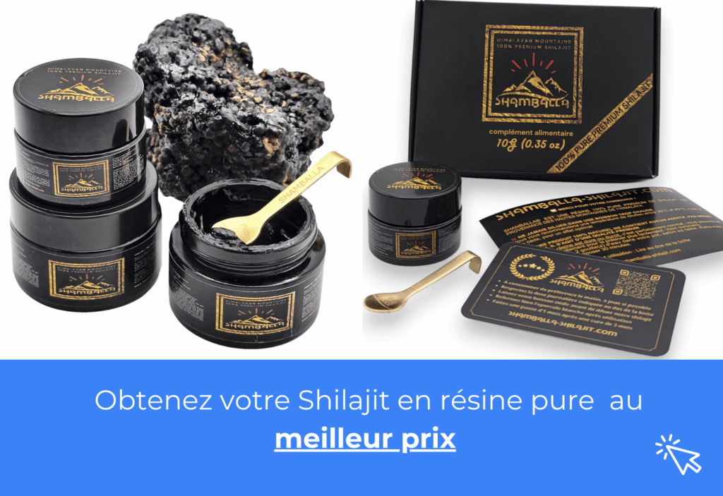 meilleur shilajit résine pure shamballa
