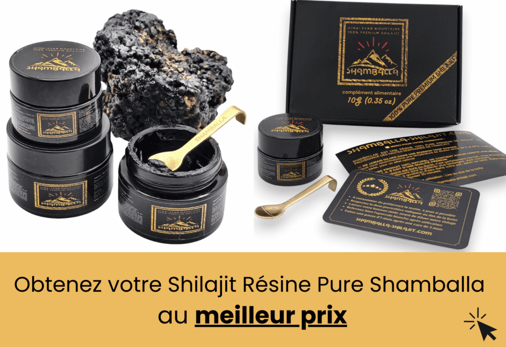meilleur shilajit résine pure shamballa