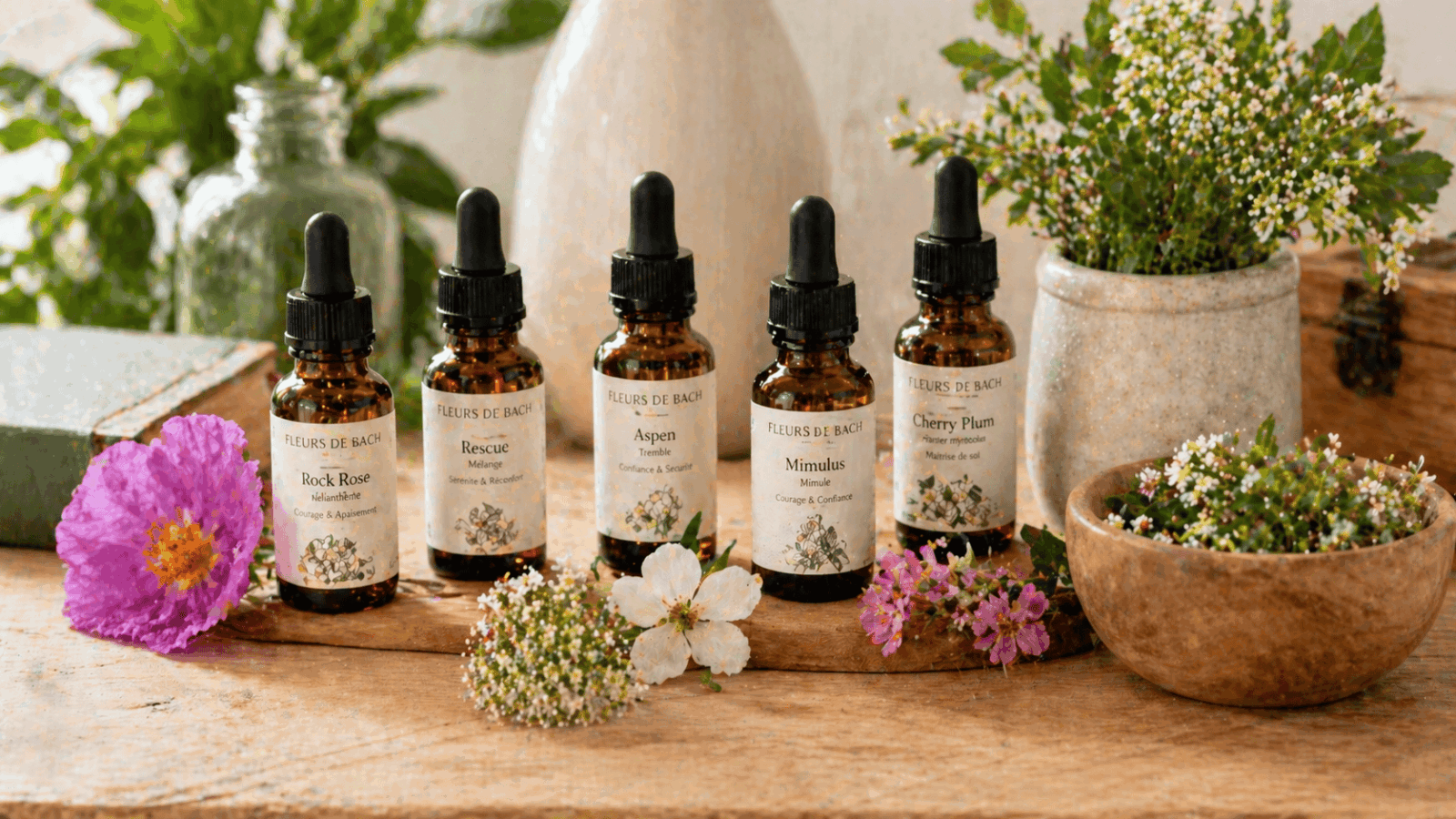 comment choisir les fleurs de bach contre les angoisses