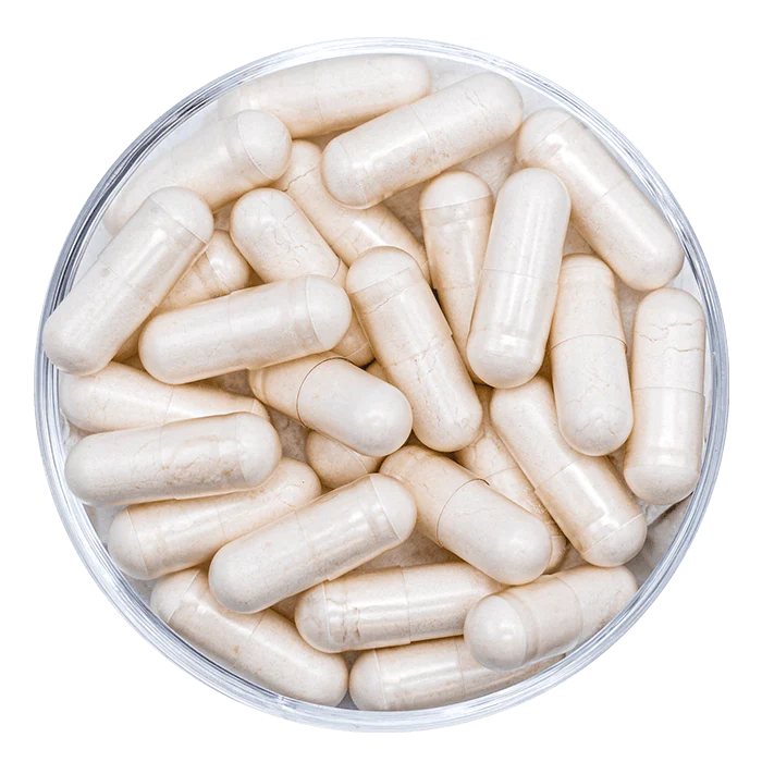 gélule des probiotiques probio4 dynveo