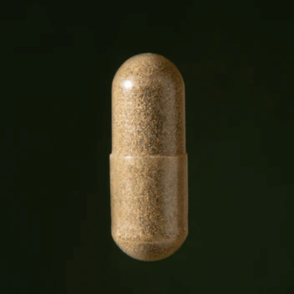 gélule du probiotiques aqeelab nutrition