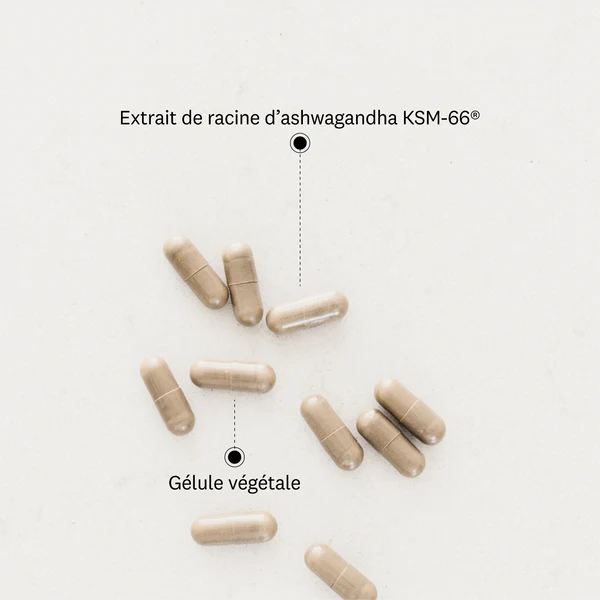 gelulle d'ashwagandha bio KSM-66 greenwhey