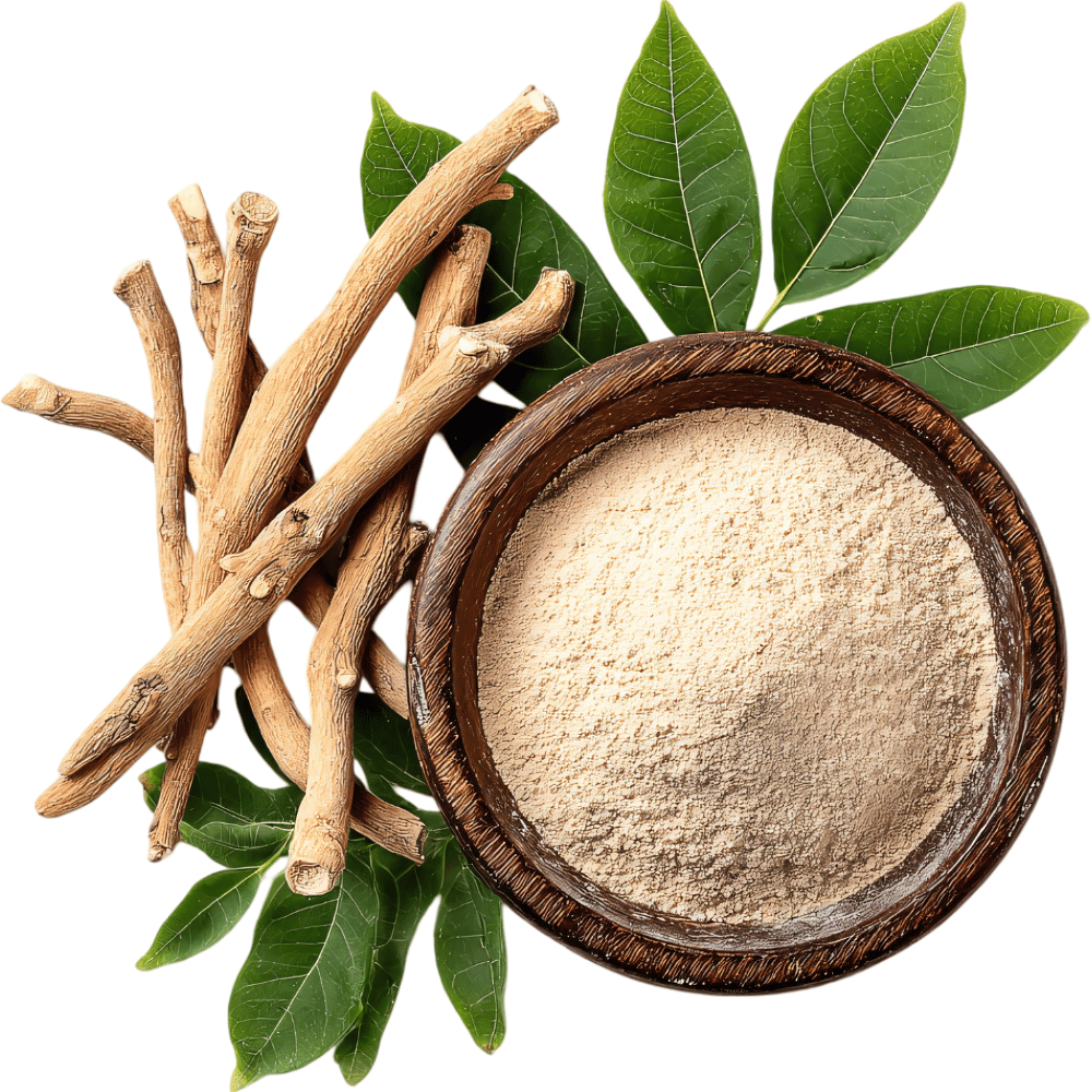 les bienfaits de l'ashwagandha bio KSM-66® novoma