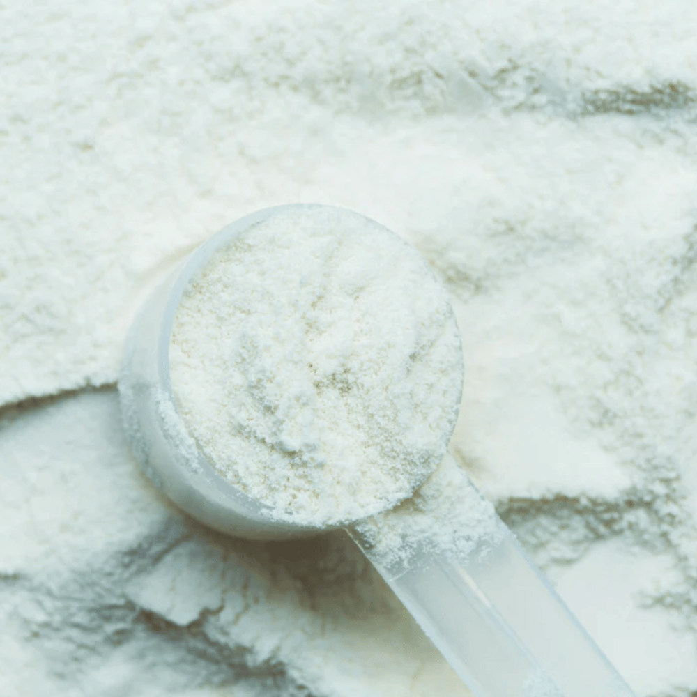 poudre de Créatine Creapure Monohydrate nutrimuscle