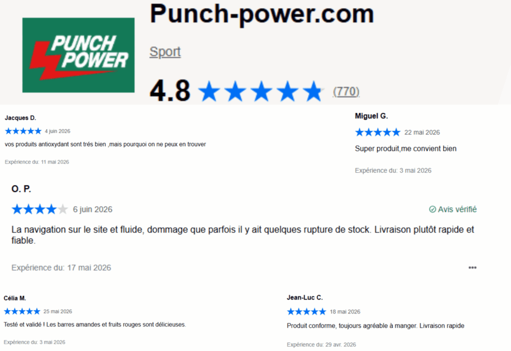 avis des clients sur punch powering