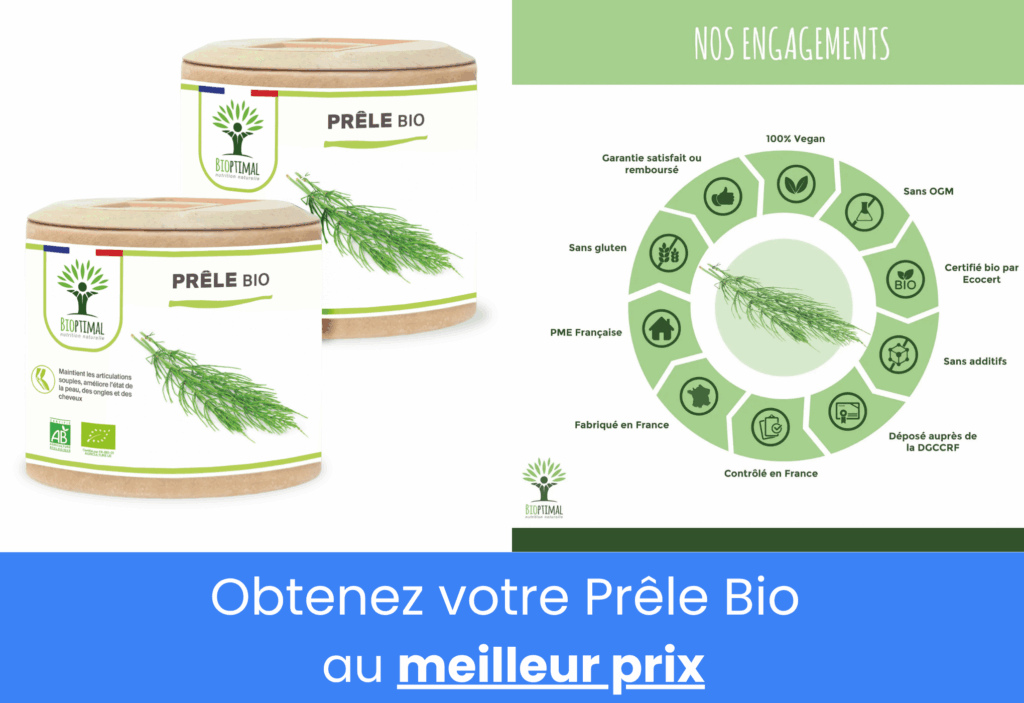 La meilleure prêle bioptimal